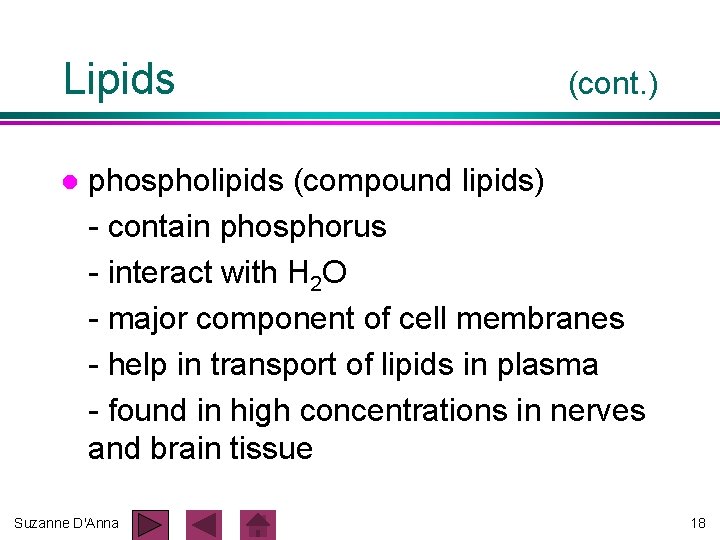 Lipids l (cont. ) phospholipids (compound lipids) - contain phosphorus - interact with H Lipids l (cont. ) phospholipids (compound lipids) - contain phosphorus - interact with H