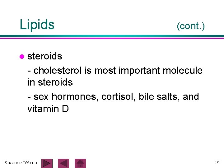 Lipids l (cont. ) steroids - cholesterol is most important molecule in steroids - Lipids l (cont. ) steroids - cholesterol is most important molecule in steroids -