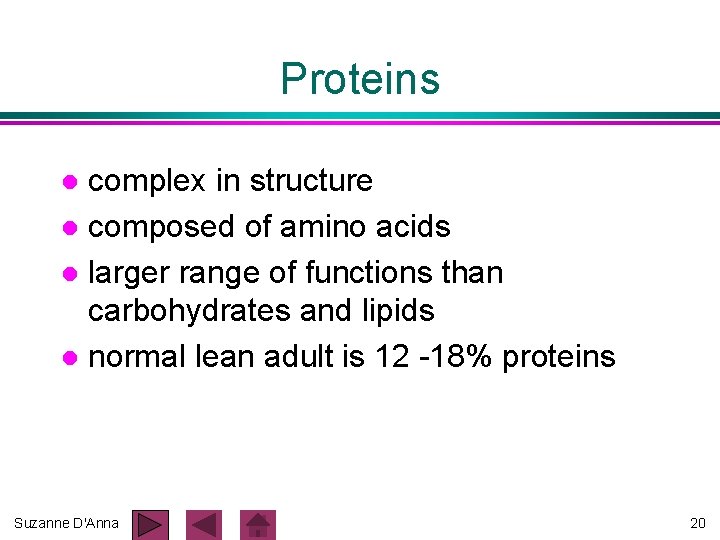 Proteins complex in structure l composed of amino acids l larger range of functions Proteins complex in structure l composed of amino acids l larger range of functions