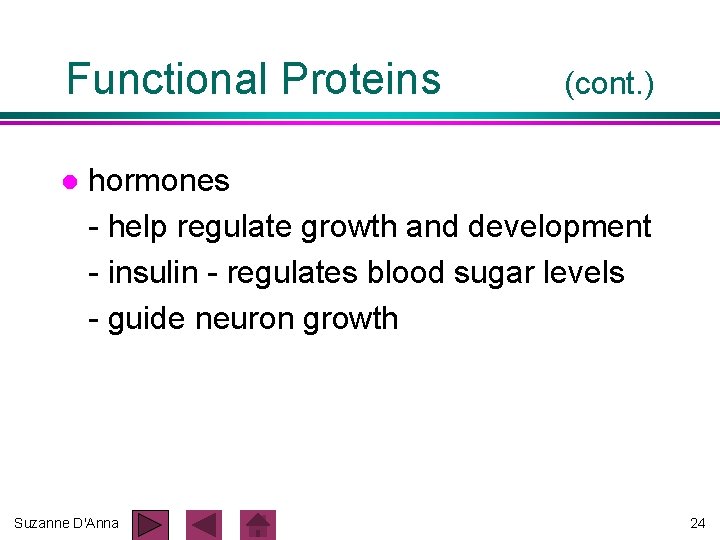 Functional Proteins l (cont. ) hormones - help regulate growth and development - insulin Functional Proteins l (cont. ) hormones - help regulate growth and development - insulin