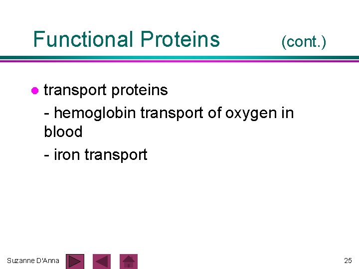 Functional Proteins l (cont. ) transport proteins - hemoglobin transport of oxygen in blood Functional Proteins l (cont. ) transport proteins - hemoglobin transport of oxygen in blood