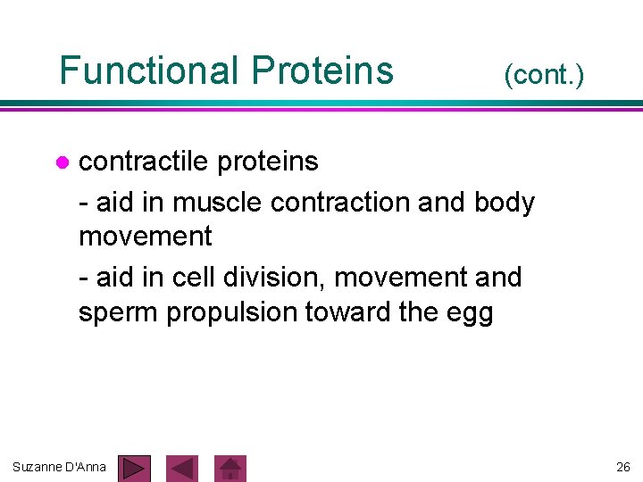 Functional Proteins l (cont. ) contractile proteins - aid in muscle contraction and body Functional Proteins l (cont. ) contractile proteins - aid in muscle contraction and body