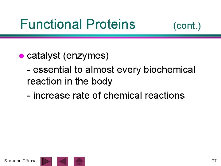 Functional Proteins l (cont. ) catalyst (enzymes) - essential to almost every biochemical reaction Functional Proteins l (cont. ) catalyst (enzymes) - essential to almost every biochemical reaction