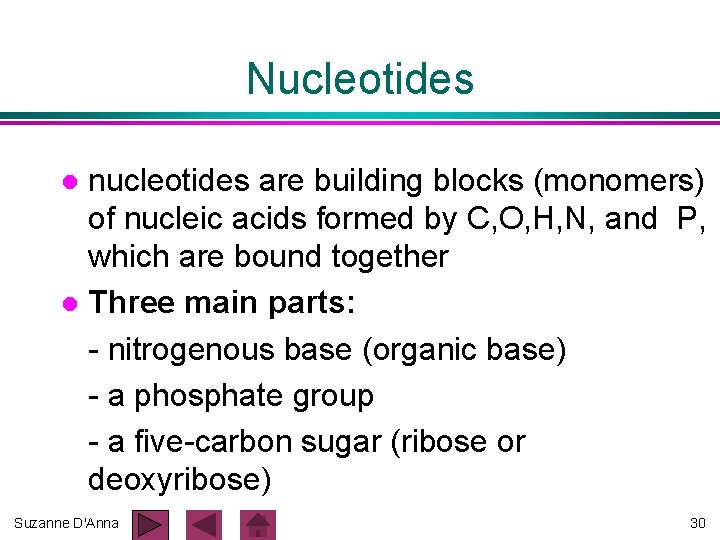 Nucleotides nucleotides are building blocks (monomers) of nucleic acids formed by C, O, H, Nucleotides nucleotides are building blocks (monomers) of nucleic acids formed by C, O, H,