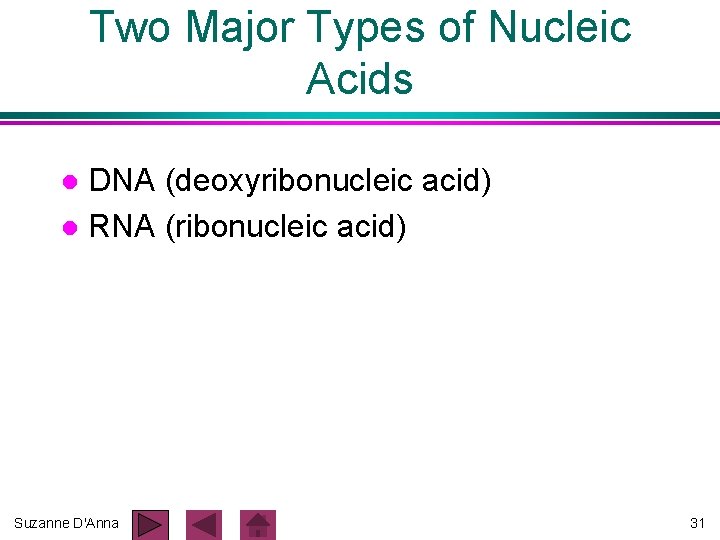 Two Major Types of Nucleic Acids DNA (deoxyribonucleic acid) l RNA (ribonucleic acid) l Two Major Types of Nucleic Acids DNA (deoxyribonucleic acid) l RNA (ribonucleic acid) l