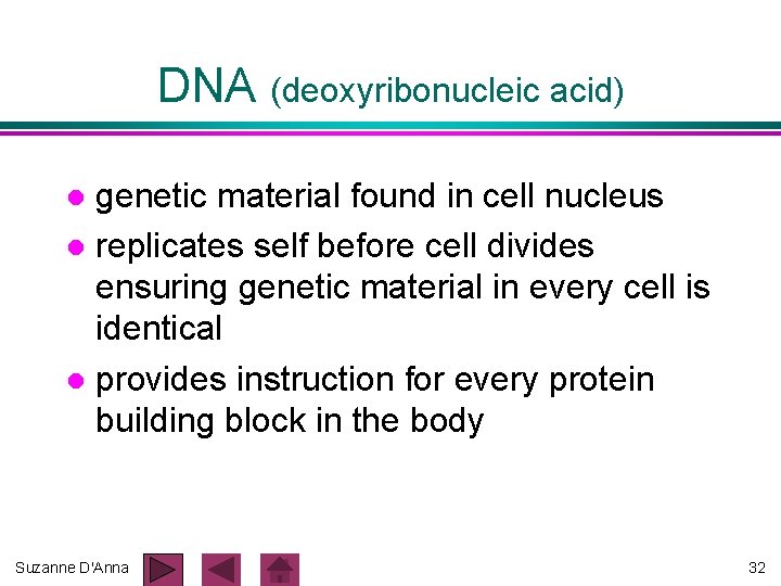 DNA (deoxyribonucleic acid) genetic material found in cell nucleus l replicates self before cell DNA (deoxyribonucleic acid) genetic material found in cell nucleus l replicates self before cell