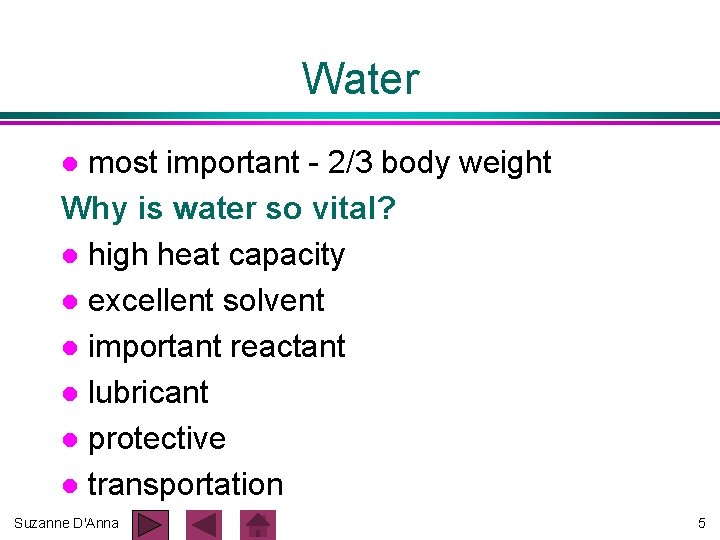 Water most important - 2/3 body weight Why is water so vital? l high Water most important - 2/3 body weight Why is water so vital? l high