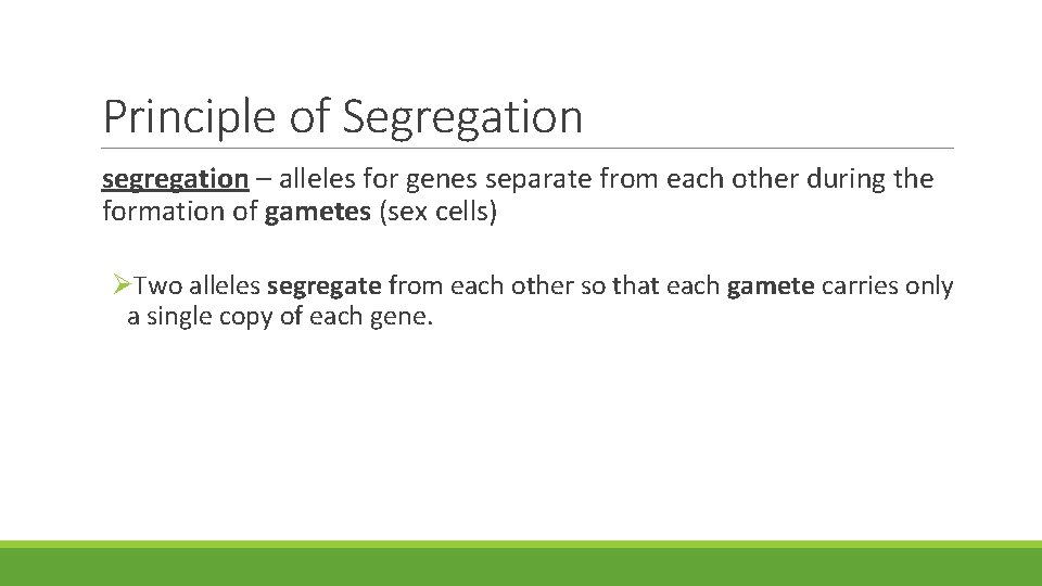 Principle of Segregation segregation – alleles for genes separate from each other during the