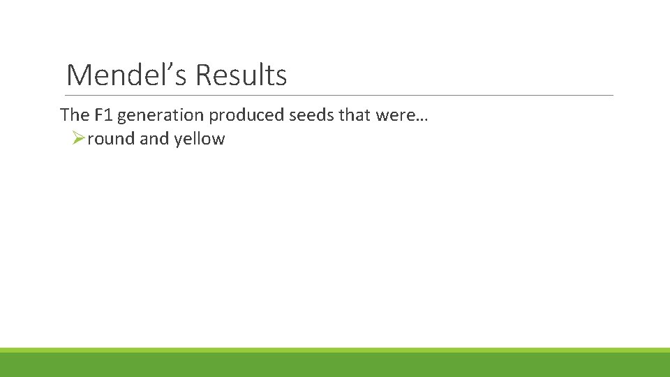 Mendel’s Results The F 1 generation produced seeds that were… round and yellow 