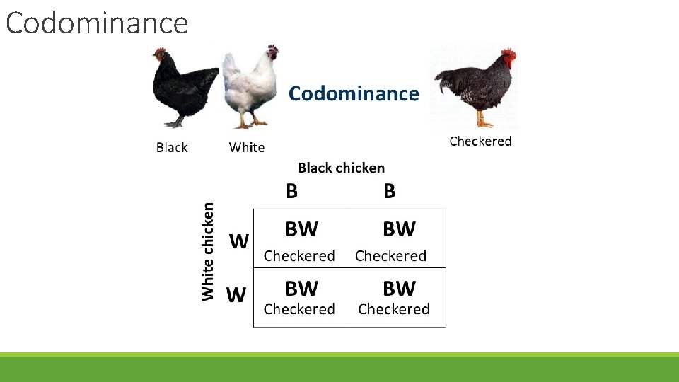 Codominance 