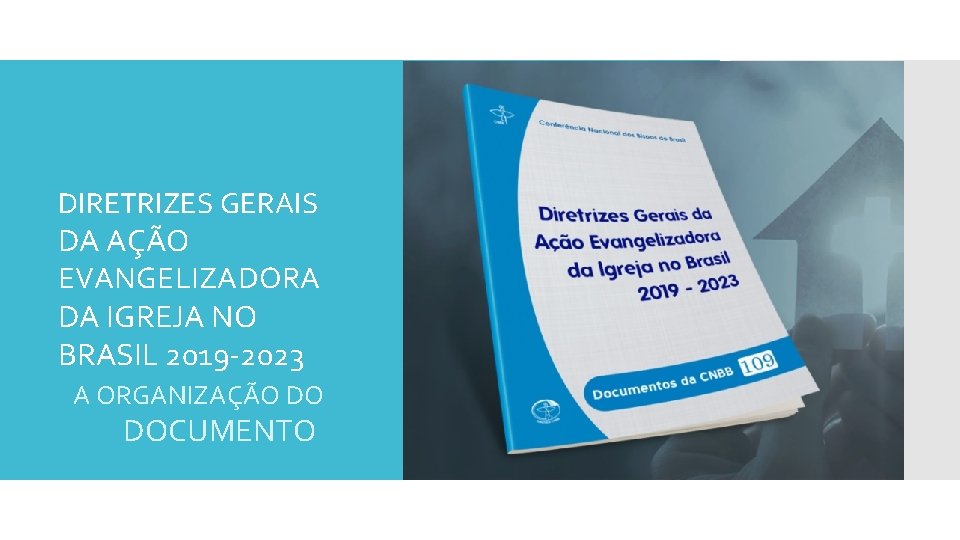 DIRETRIZES GERAIS DA AÇÃO EVANGELIZADORA DA IGREJA NO BRASIL 2019 -2023 A ORGANIZAÇÃO DO