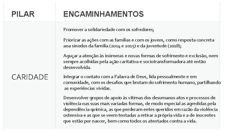 PILAR ENCAMINHAMENTOS Promover a solidariedade com os sofredores; Priorizar as ações com as famílias