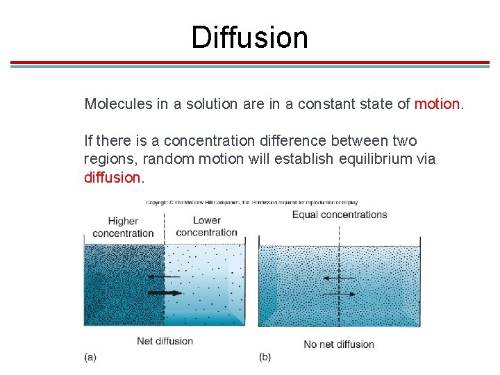 Diffusion Molecules in a solution are in a constant state of motion. If there Diffusion Molecules in a solution are in a constant state of motion. If there