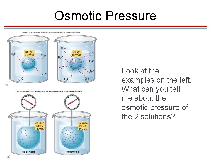 Osmotic Pressure Look at the examples on the left. What can you tell me Osmotic Pressure Look at the examples on the left. What can you tell me