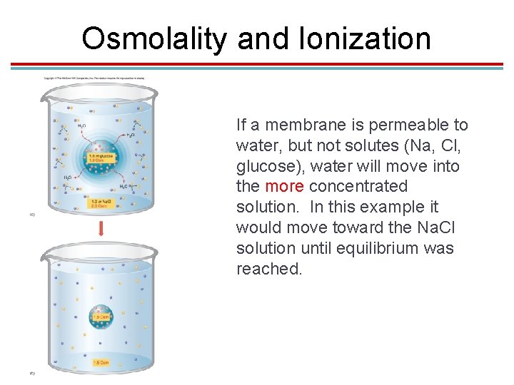 Osmolality and Ionization If a membrane is permeable to water, but not solutes (Na, Osmolality and Ionization If a membrane is permeable to water, but not solutes (Na,