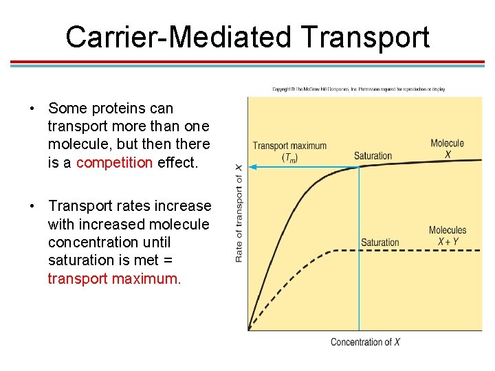 Carrier-Mediated Transport • Some proteins can transport more than one molecule, but then there Carrier-Mediated Transport • Some proteins can transport more than one molecule, but then there