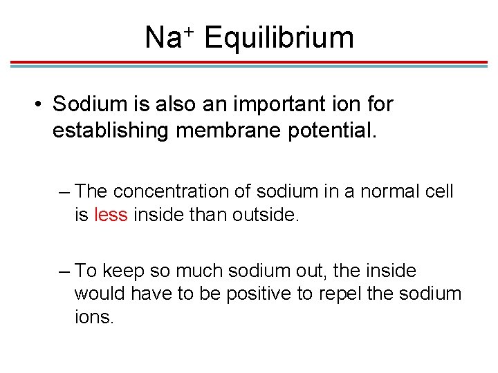 + Na Equilibrium • Sodium is also an important ion for establishing membrane potential. + Na Equilibrium • Sodium is also an important ion for establishing membrane potential.