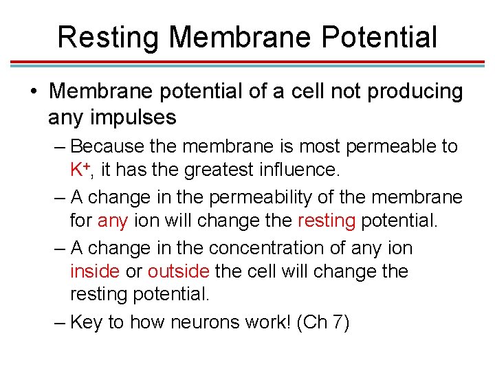 Resting Membrane Potential • Membrane potential of a cell not producing any impulses – Resting Membrane Potential • Membrane potential of a cell not producing any impulses –