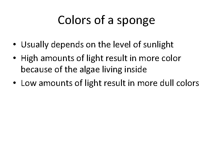 Colors of a sponge • Usually depends on the level of sunlight • High