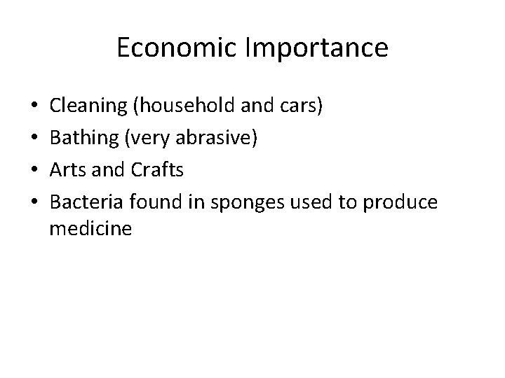 Economic Importance • • Cleaning (household and cars) Bathing (very abrasive) Arts and Crafts