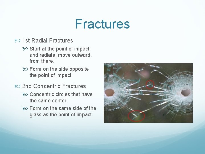 Fractures 1 st Radial Fractures Start at the point of impact and radiate, move