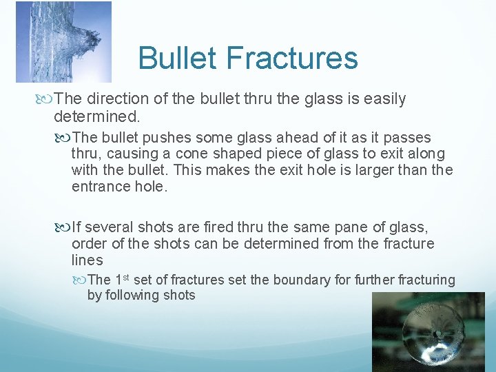 Bullet Fractures The direction of the bullet thru the glass is easily determined. The