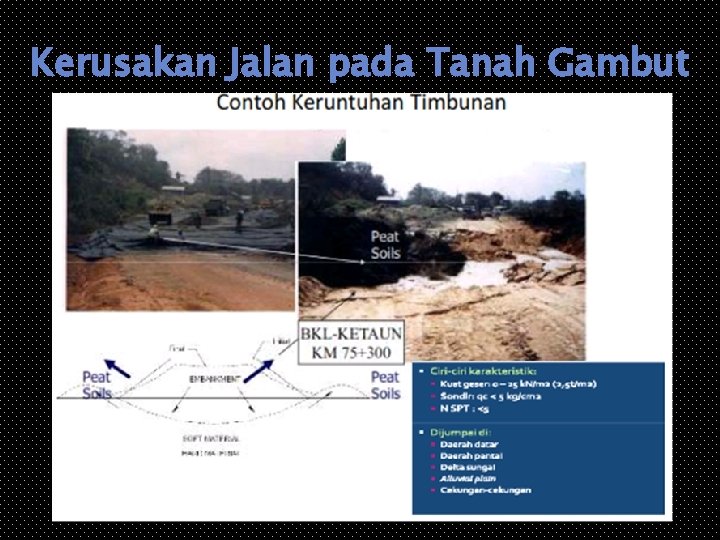 Kerusakan Jalan pada Tanah Gambut 