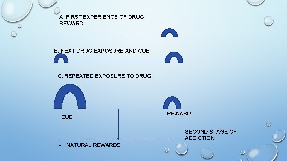 A. FIRST EXPERIENCE OF DRUG REWARD B. NEXT DRUG EXPOSURE AND CUE C. REPEATED