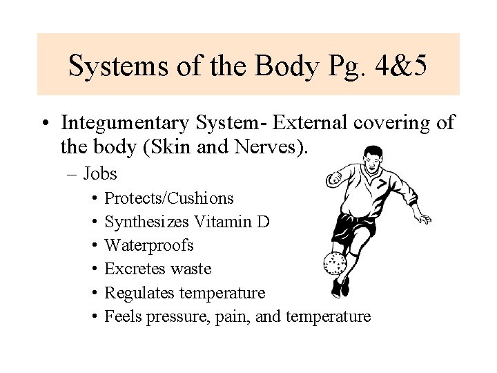 Systems of the Body Pg. 4&5 • Integumentary System- External covering of the body