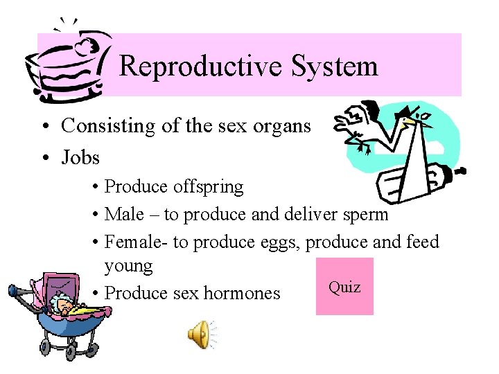 Reproductive System • Consisting of the sex organs • Jobs • Produce offspring •