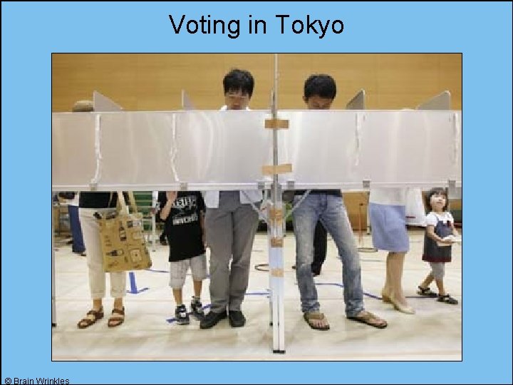 Voting in Tokyo © Brain Wrinkles 
