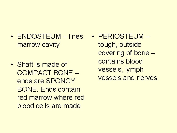  • ENDOSTEUM – lines marrow cavity • Shaft is made of COMPACT BONE