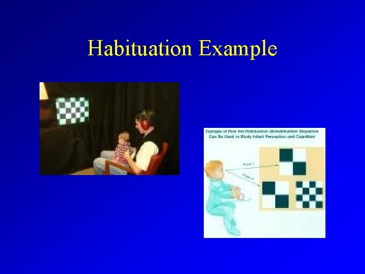 Habituation Example 