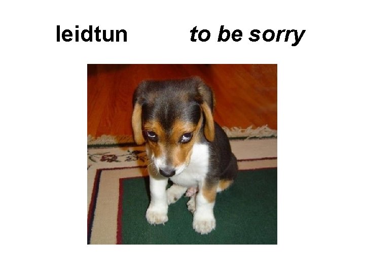 leidtun to be sorry 