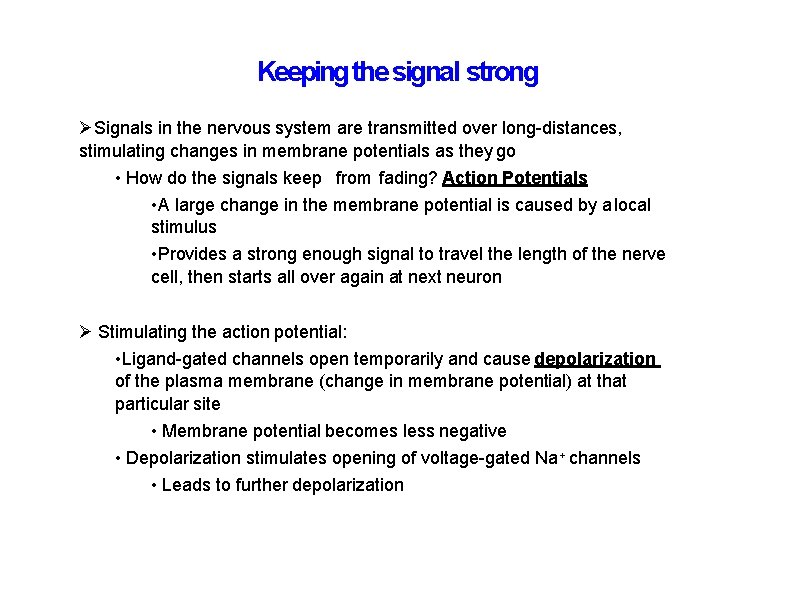 Keeping the signal strong Signals in the nervous system are transmitted over long-distances, stimulating
