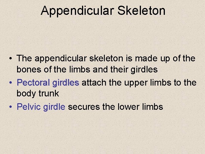 Appendicular Skeleton • The appendicular skeleton is made up of the bones of the