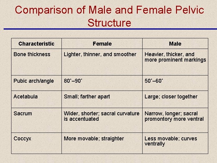 Comparison of Male and Female Pelvic Structure Characteristic Female Male Bone thickness Lighter, thinner,