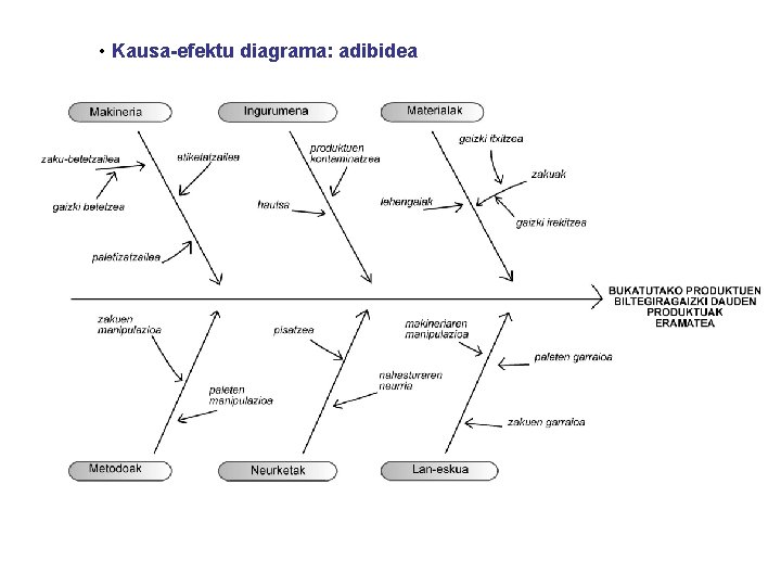  • Kausa-efektu diagrama: adibidea 