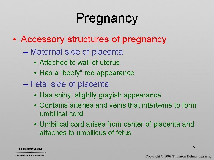 Pregnancy • Accessory structures of pregnancy – Maternal side of placenta • Attached to