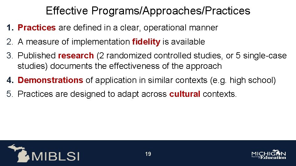 Effective Programs/Approaches/Practices 1. Practices are defined in a clear, operational manner 2. A measure