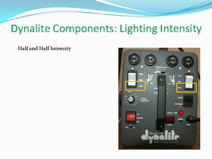 Dynalite Components: Lighting Intensity Half and Half Intensity 