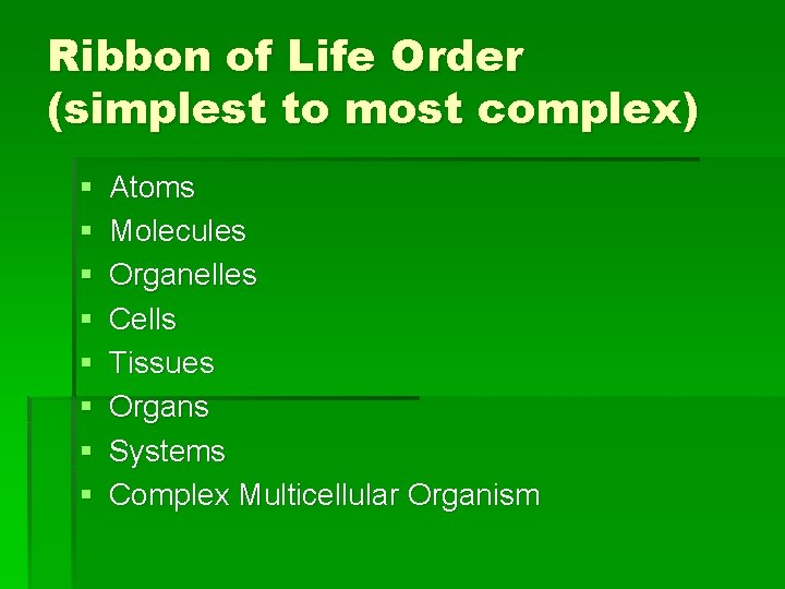 Ribbon of Life Order (simplest to most complex) § § § § Atoms Molecules