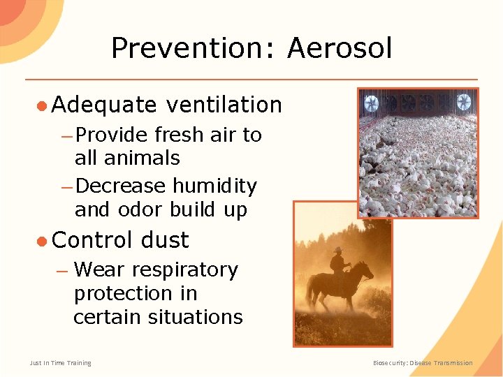 Prevention: Aerosol ● Adequate ventilation – Provide fresh air to all animals – Decrease