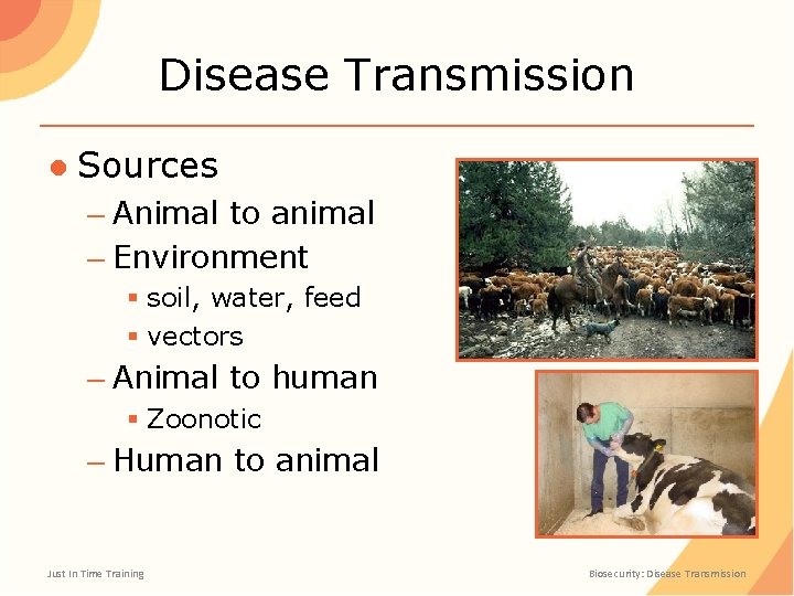 Disease Transmission ● Sources – Animal to animal – Environment § soil, water, feed