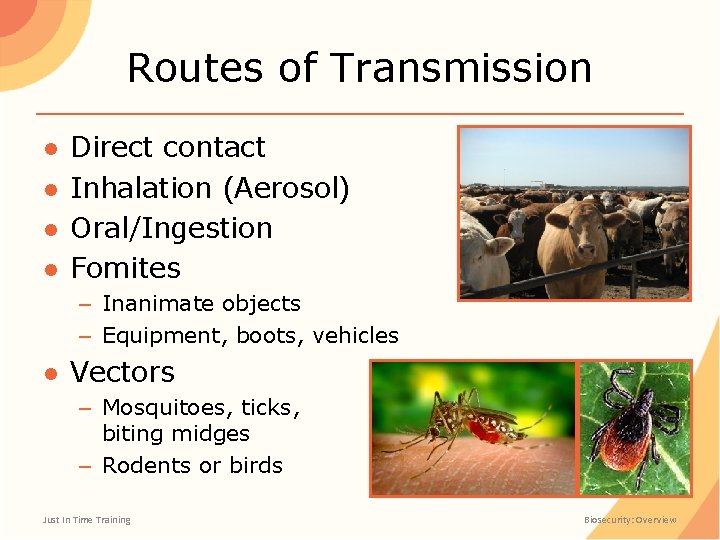 Routes of Transmission ● ● Direct contact Inhalation (Aerosol) Oral/Ingestion Fomites – Inanimate objects