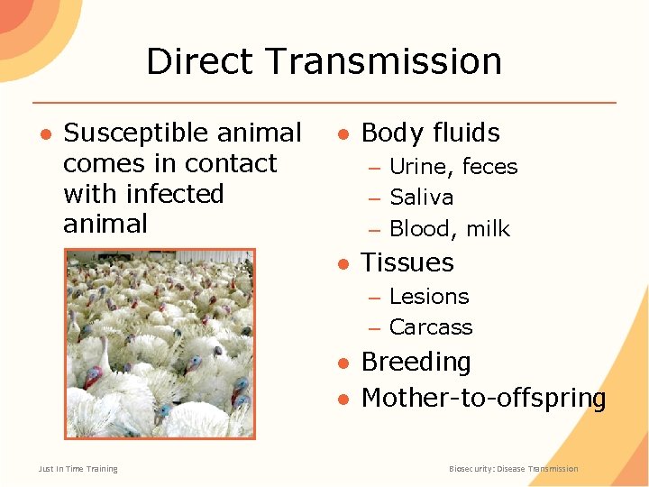 Direct Transmission ● Susceptible animal comes in contact with infected animal ● Body fluids