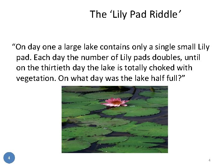 The ‘Lily Pad Riddle’ “On day one a large lake contains only a single