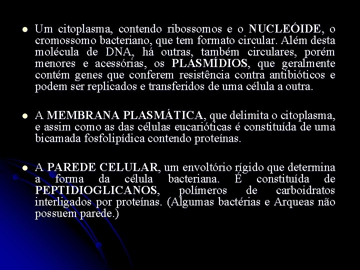 l Um citoplasma, contendo ribossomos e o NUCLEÓIDE, o cromossomo bacteriano, que tem formato