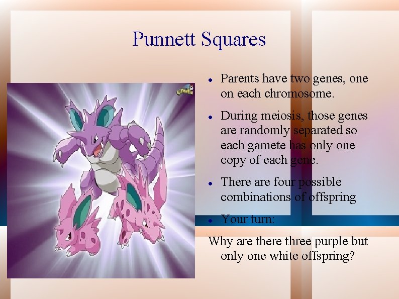 Punnett Squares Parents have two genes, one on each chromosome. During meiosis, those genes