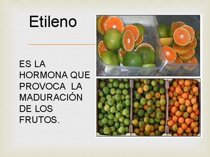 Etileno ES LA HORMONA QUE PROVOCA LA MADURACIÓN DE LOS FRUTOS. 